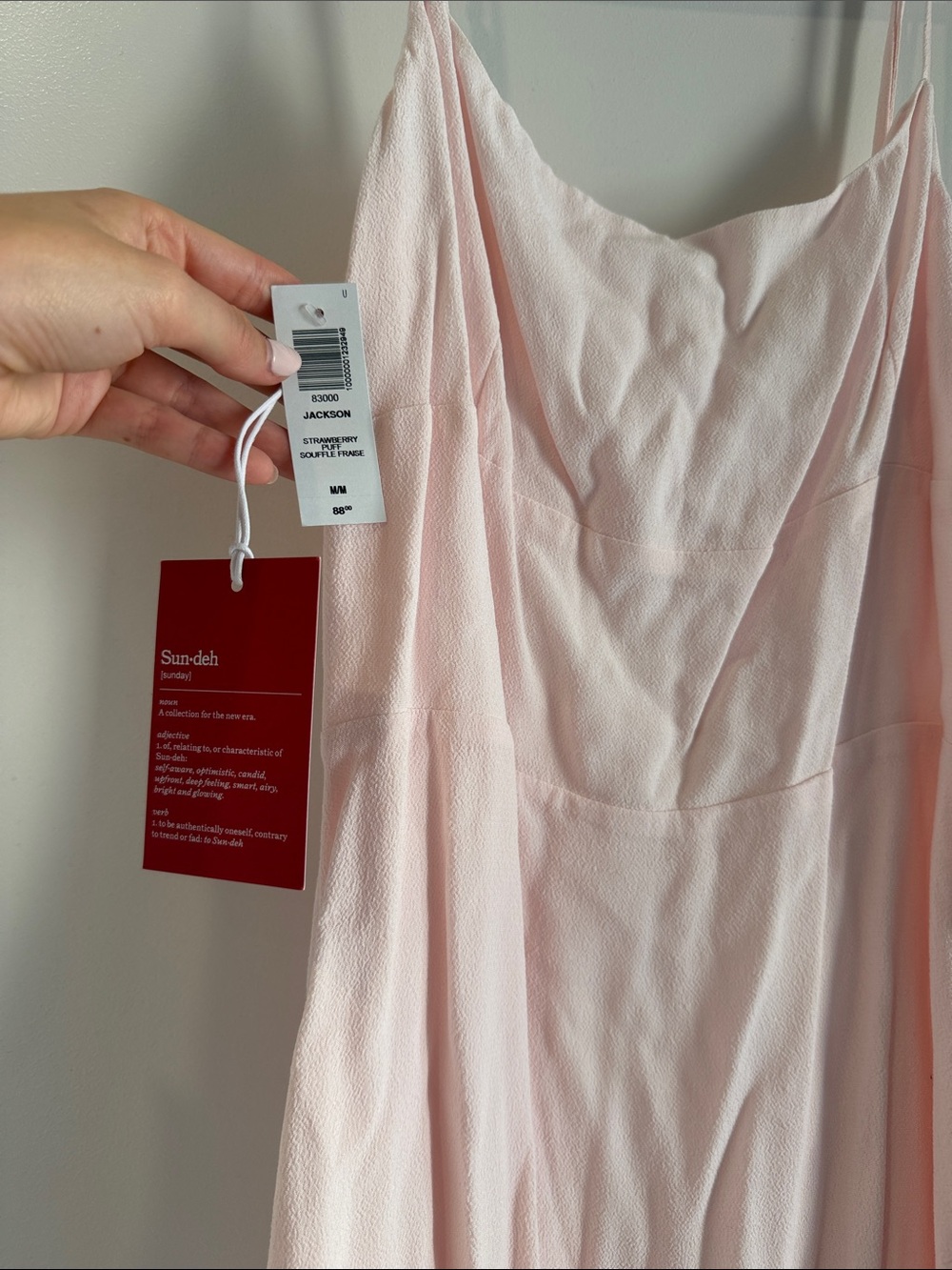 Aritzia Jackson Strapless Slip Dress in Soft Pink
